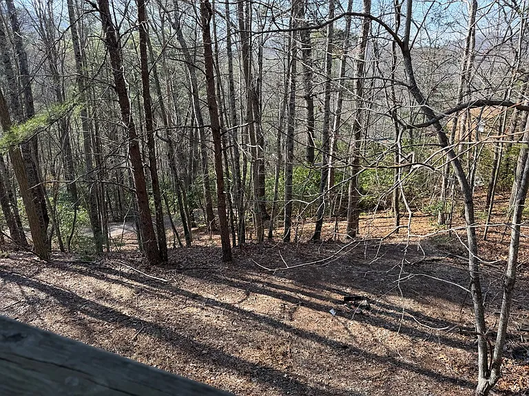 241 Owl Roost Trl — Photo 14