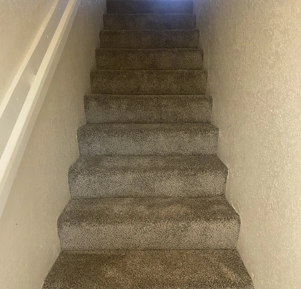 2 bed, 1.5 bath, 800 sqft, $1,300 — Photo 3
