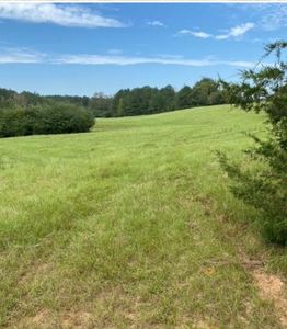 00 Macedonia Church Rd, Columbia, AL, 36319