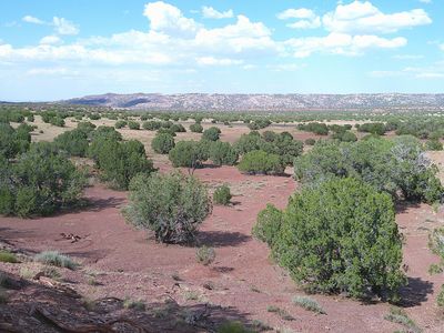 Concho Hwy #10AC, Concho, AZ, 85924