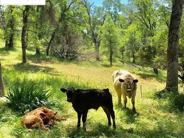 9532 Priest Coulterville Rd, Big Oak Flat, CA 95305