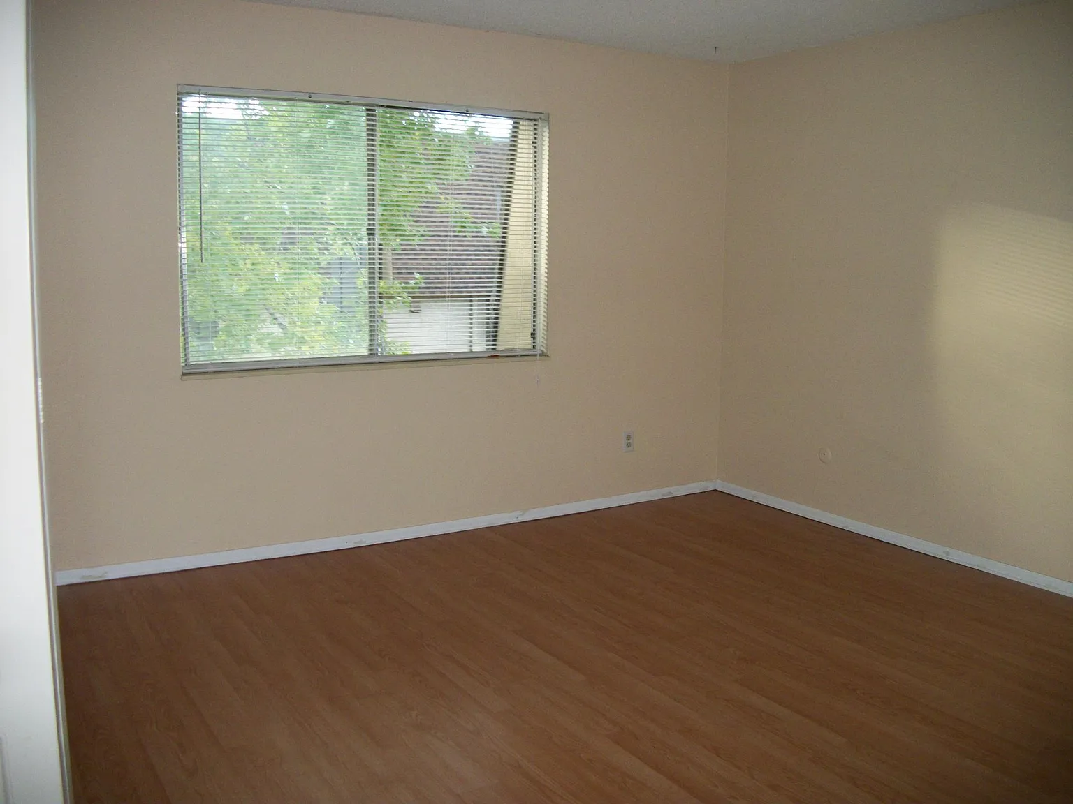 1 bed, 800 sqft, $1,500 — Photo 4