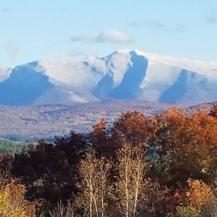 View from the back deck