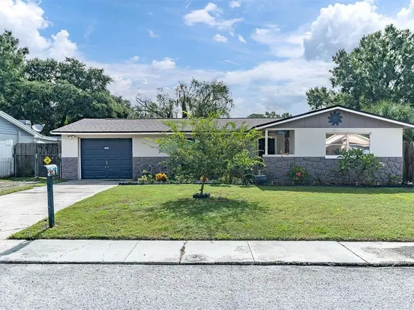 4916 Billy Direct Ln, Lutz, FL 33559