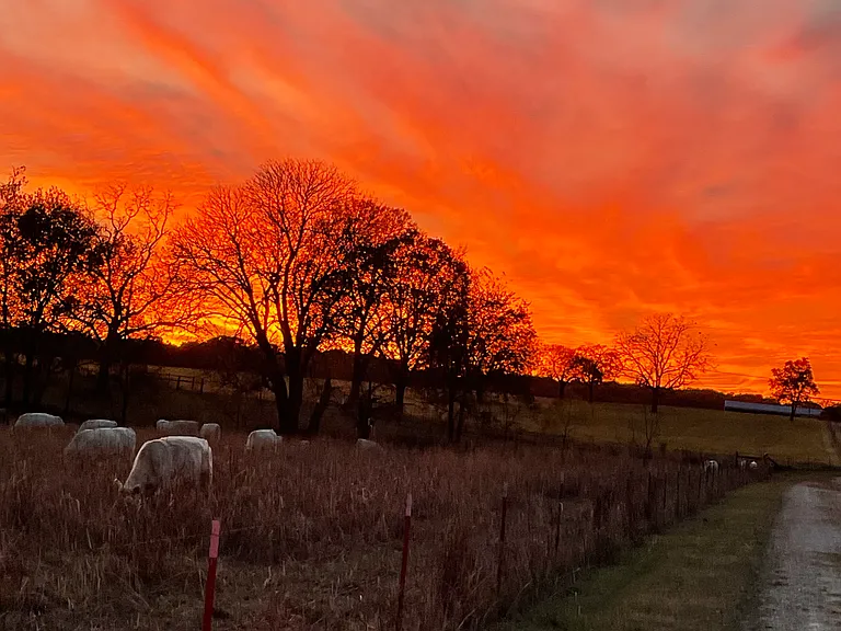 Sunset from
The front yard