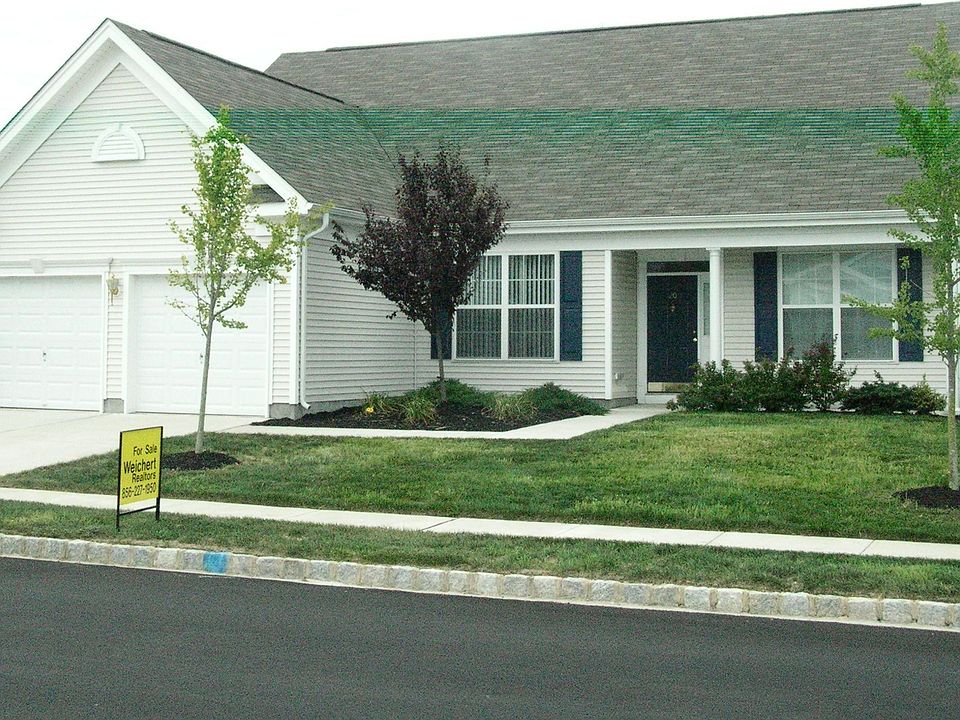 20 Shelly Street .com