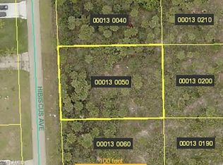 514 Hibiscus Ave, Lehigh Acres, FL 33972