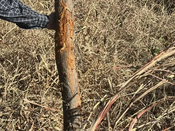 W Side I 35 N Side Off, Blackwell, OK 74631