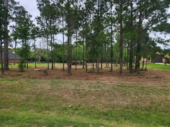 7203 Bayou Timbers Dr, Alvin, TX 77511