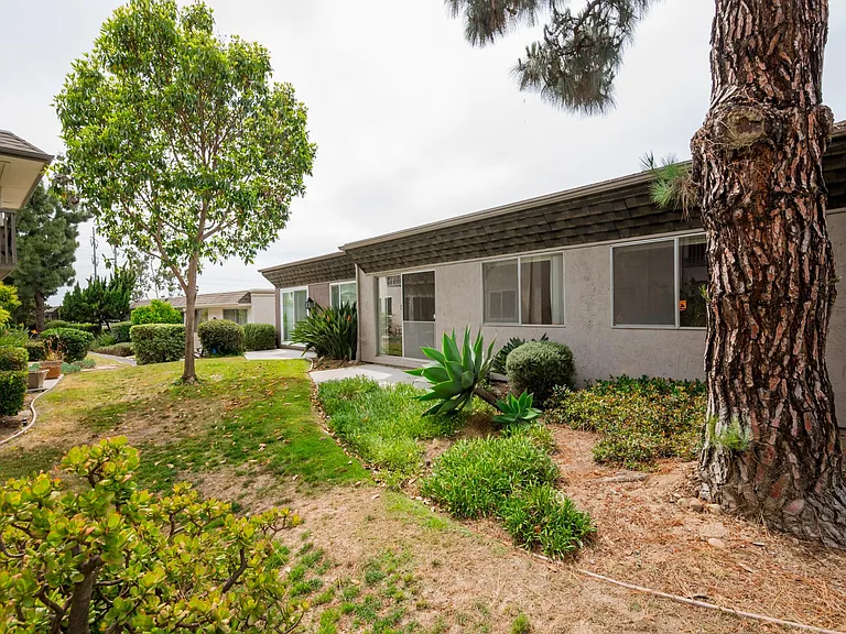 6269 Caminito Salado — Photo 23
