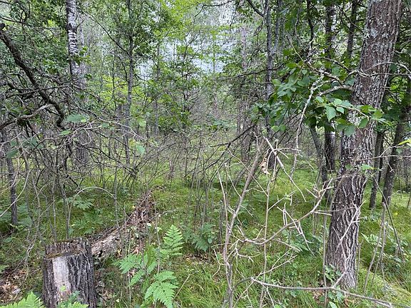 4th image of Lot 56 George Lake Road