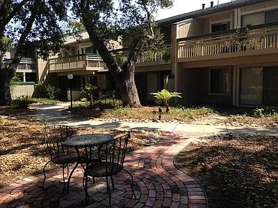 Live Oak Apartments — Photo 113