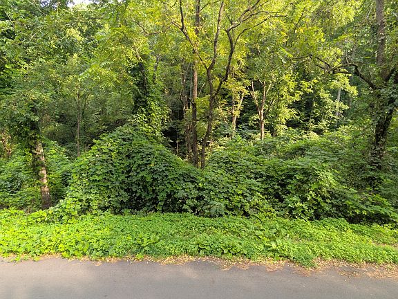 2nd image of 1309 Matthews Hollow Rd