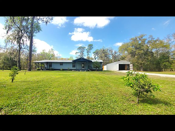 Tangerine & Grapefruit Trees
