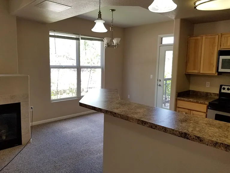555 Cougar Bluff Point #101 — Photo 7