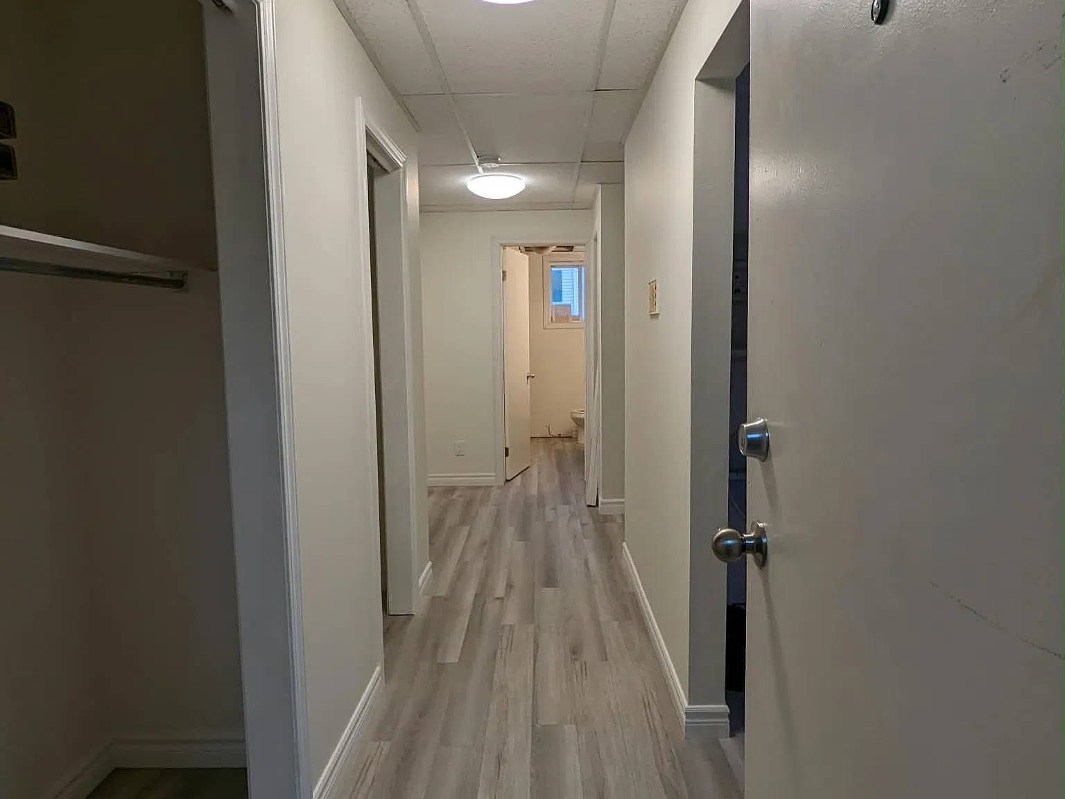 1 bed, $1,250 — Photo 3