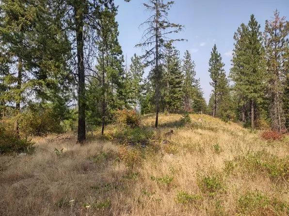 Xx Lodgepole Ln, Elk, WA 99009