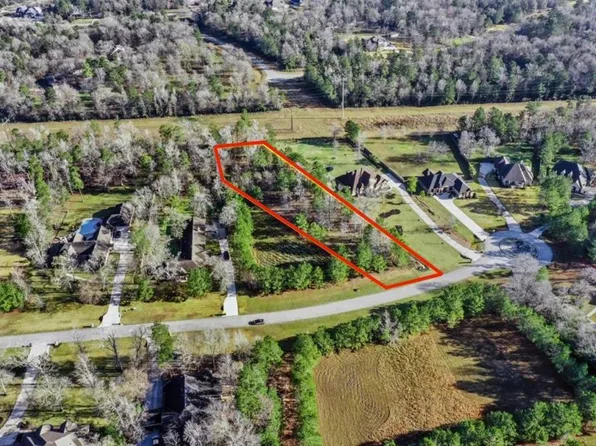 393 Ridge Lake Scenic Dr, Montgomery, TX 77316