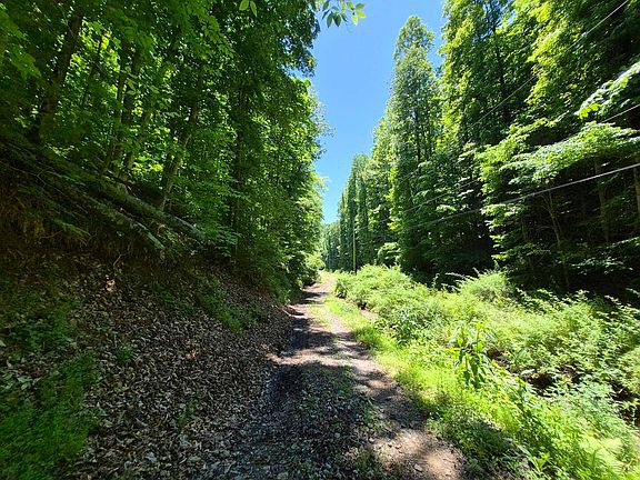 4th image of County Route 35/4 Jobs Run