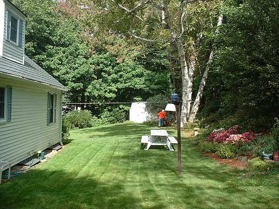 Back yard