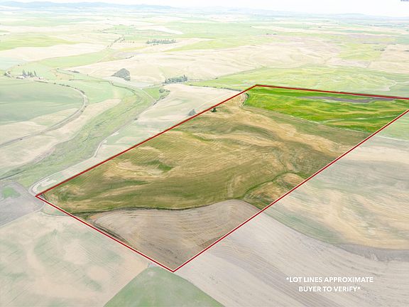 4th image of Bongarts Rd