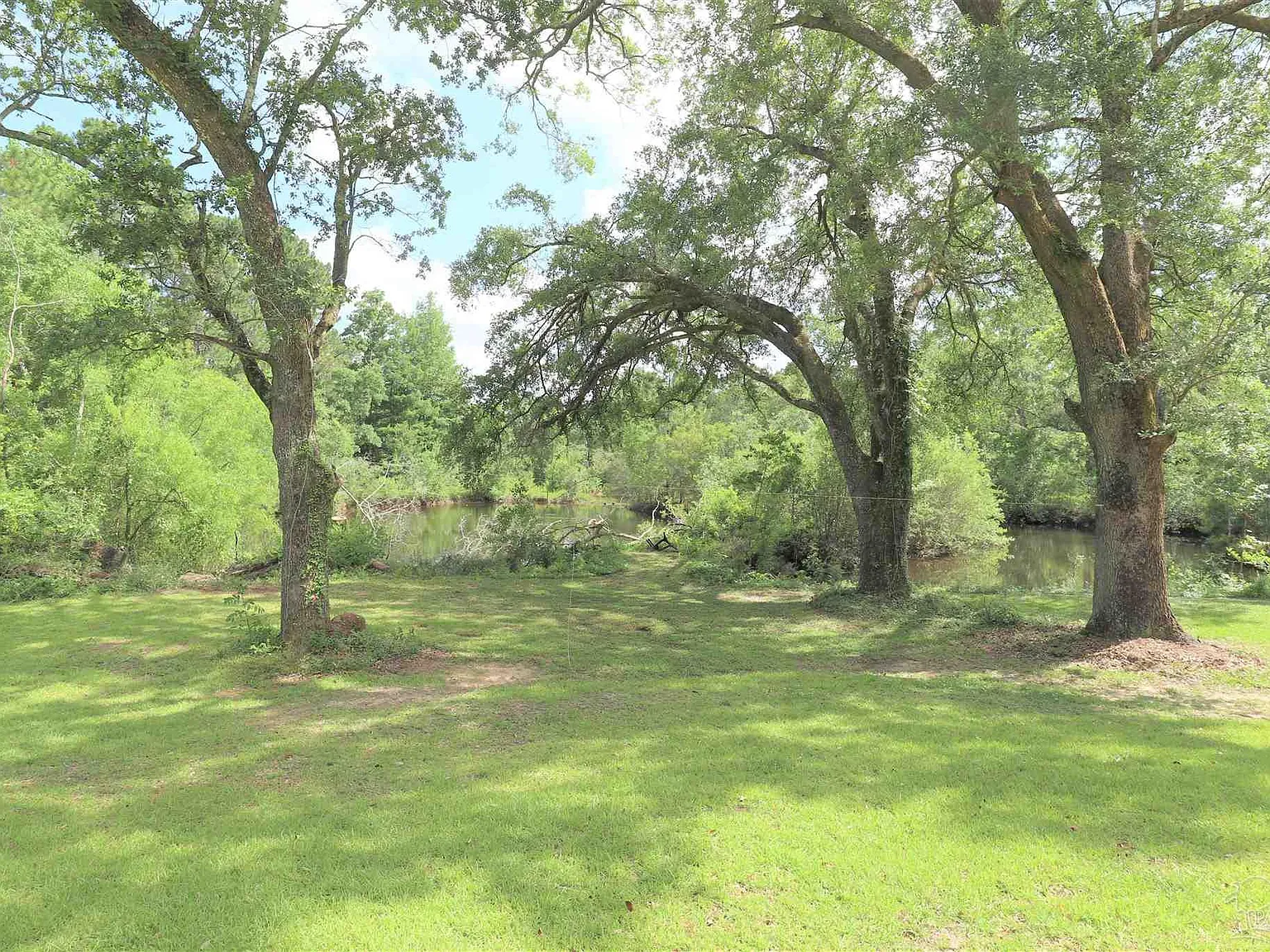 3 bed, 1500 sqft, $2,300 — Photo 4