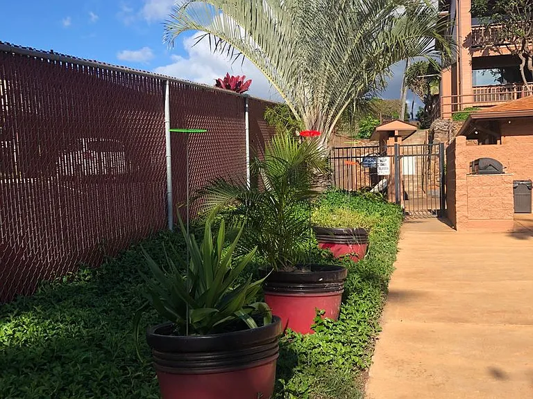 3740 Lower Honoapiilani Rd #C202 — Photo 22