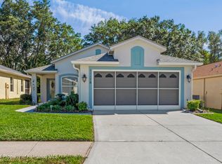 11178 Heathrow Ave, Spring Hill, FL 34609