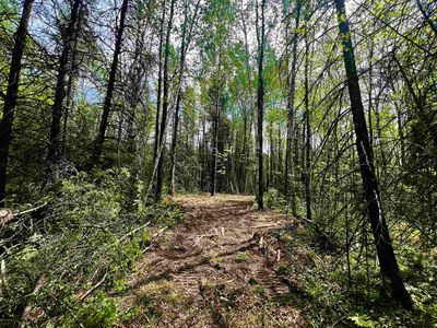 Bergeson Ln, Amberg, WI, 54102