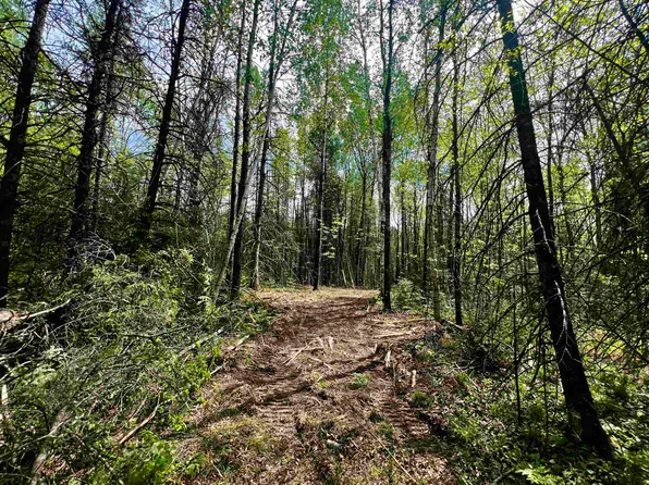 Bergeson Ln, Amberg, WI 54102