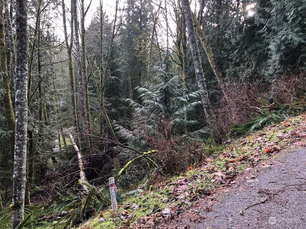 23 Rose Ridge Loop, Bellingham, WA 98229