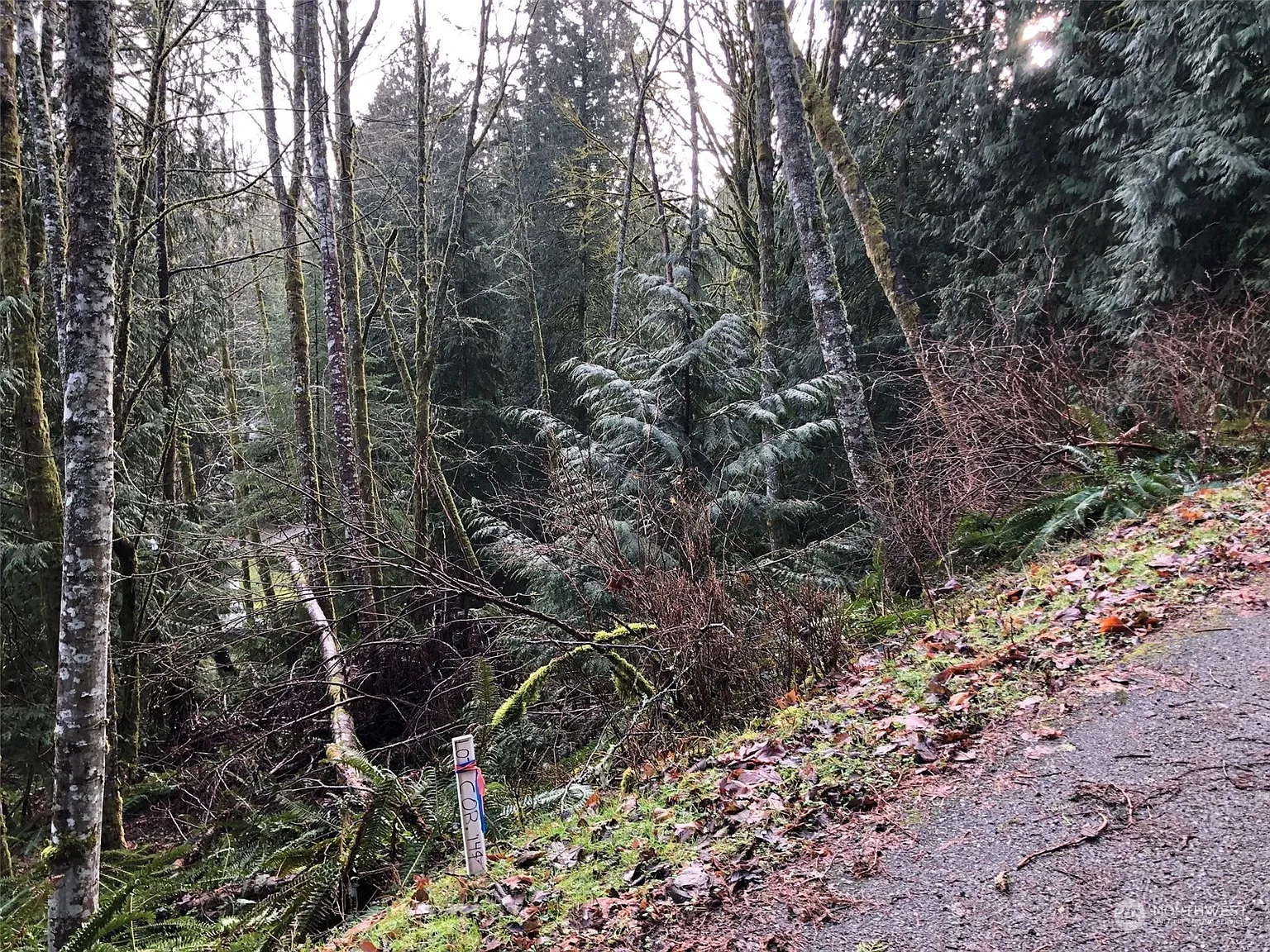 23 Rose Ridge Loop photo 1
