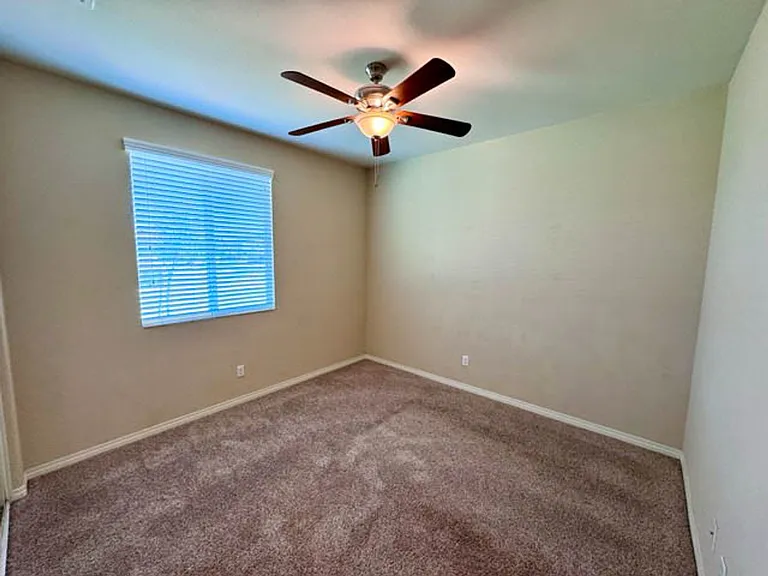 34726 Yellow Root St — Photo 10