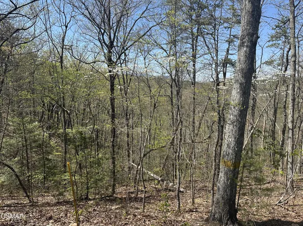 1532 Mountain Dreams Way Lot 14, Sevierville, TN 37862