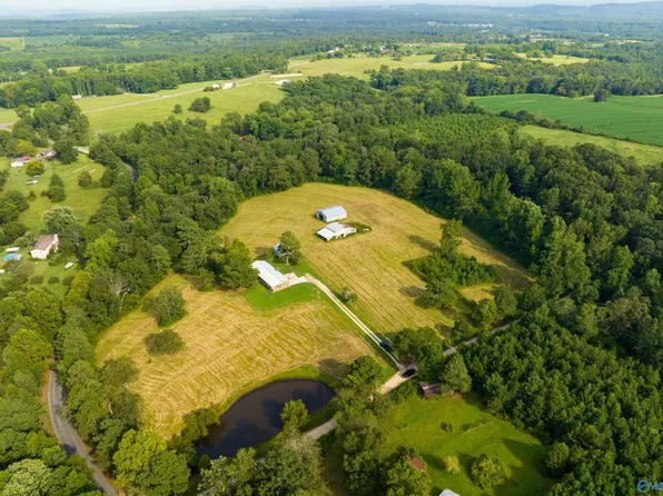 59 County Road 860, Collinsville, AL 35961