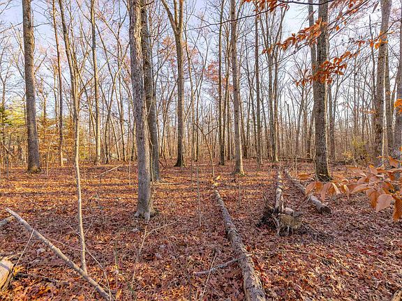 4th image of Carpenters Mill Rd