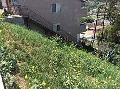 2nd image of 1305 Luella Dr