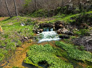 25598-C Tract 228 #1, Norwood, MO 65717