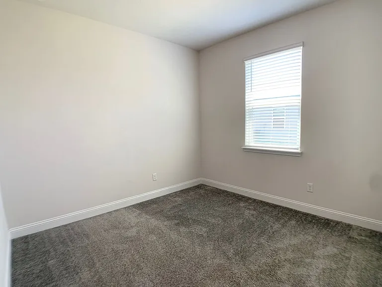 1499 Tropical Pine Cv — Photo 36
