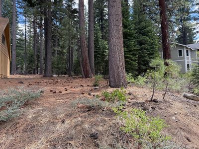 1953 Osage Cir, South Lake Tahoe, CA, 96150