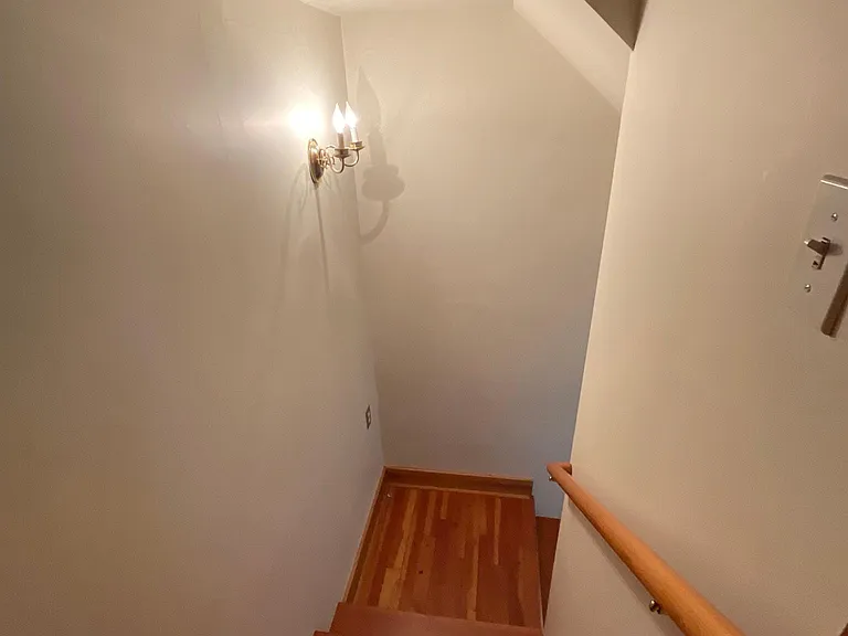 this is the stairs going up to the main house. (There is a privacy separation door). This space can be used for extra bonus storage!!