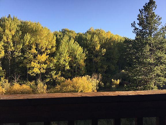  National forest outback 