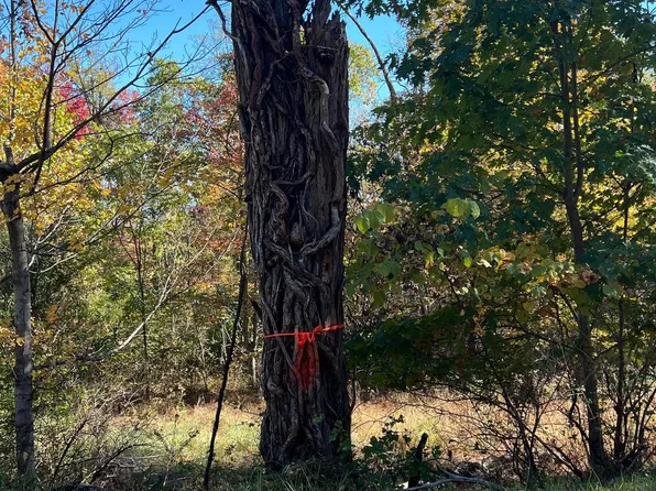 Old Cumberland Rd, Flintstone, MD 21530