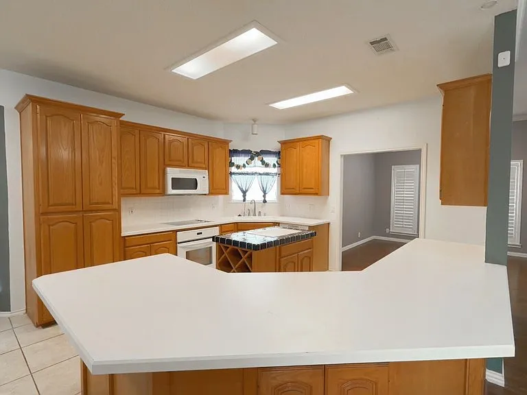 2701 Purple Sage Trl — Photo 9