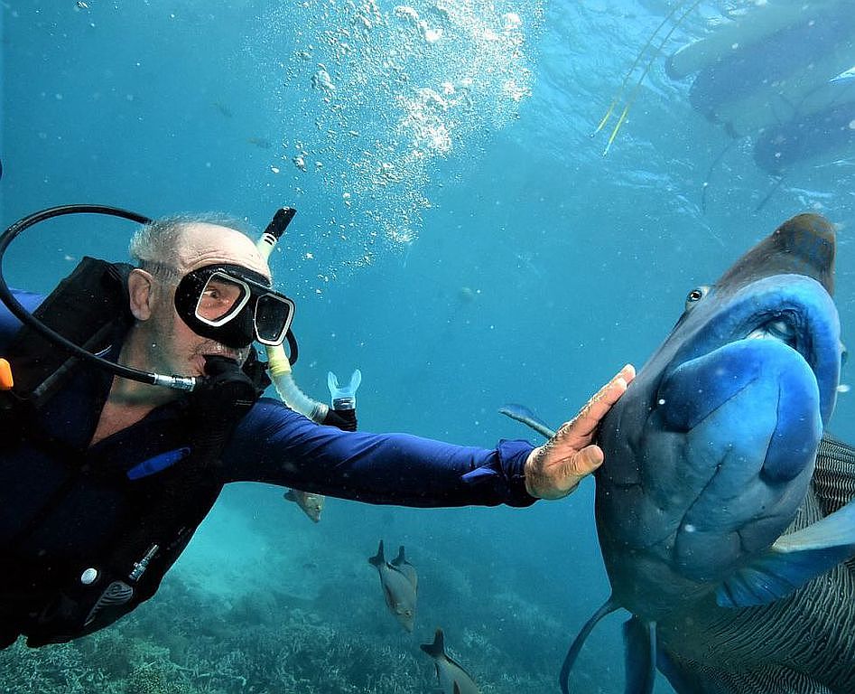 4825 Bethel Creek Dr, Vero Beach, FL 32963 Zillow