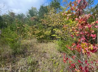 Rondayview Ln, Sevierville, TN 37876