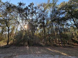 NE 150th Ave Lot 5, Fort Mc Coy, FL 32134