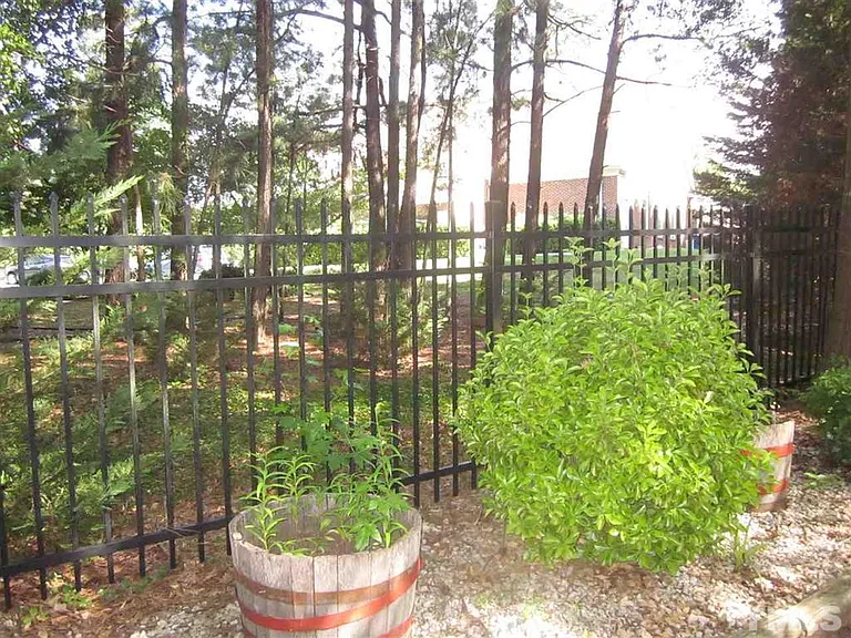 3407 Shady Creek Dr — Photo 18