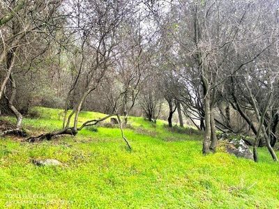 14344 Lake Wildwood Dr, Penn Valley, CA, 95946