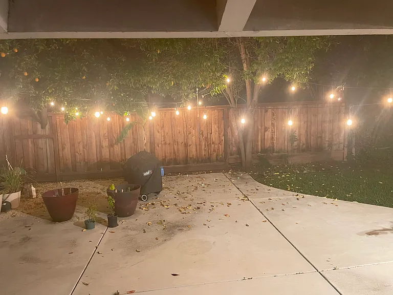 Backyard